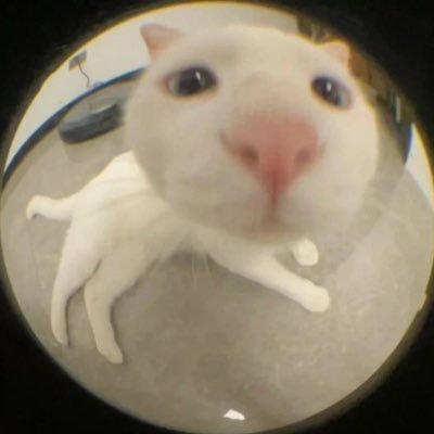 _AxedMc's profile picture. Free Speech = Freedom of thought. Think for yourself