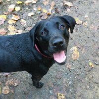 Gemma (@gemmabr64821912) 's Twitter Profile Photo Gemma (@gemmabr64821912) 's Twitter Profile Photo