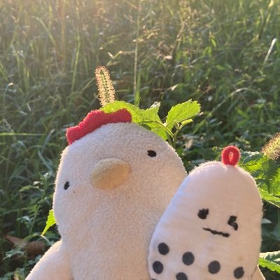 我が家のオリキャラの温泉たまごちゃんとなかま達日記。 ゆるっと植物探訪。 無言フォロー失礼します。 #ぬい撮り #植物