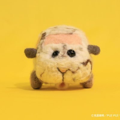 koji_zep's profile picture. 東大経済卒