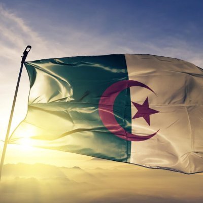 دبلوماسية جزائرية
Algerian Diplomat 
Ministry of foreign affairs