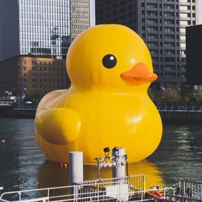 honori02's profile picture. 