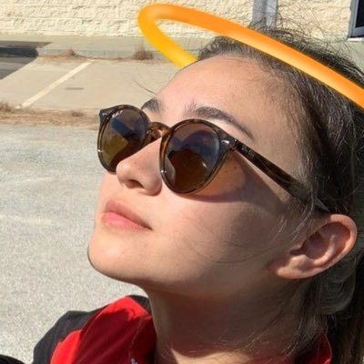 intp, introvert, halo bearer, 🏳️🌈, unhinged.