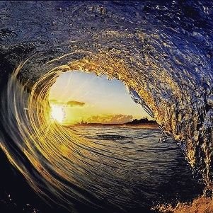 F0XkVlQHLk2Qn4T's profile picture. 