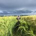 Mark Ward (@hambletonfarm) Twitter profile photo Mark Ward (@hambletonfarm) Twitter profile photo