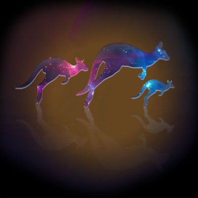 kangarooNFT_'s profile picture. Kangaroo, the world's first blockchain project exchange to allow participants to hold shares in blockchain projects through NFT.