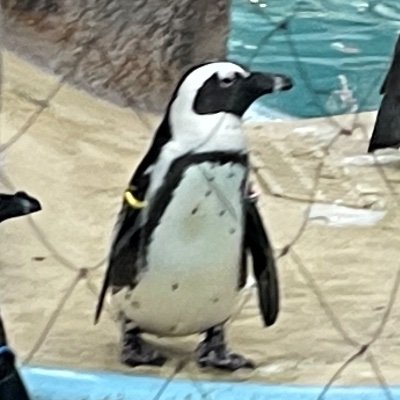 PmnjgqGRqCZPxJf's profile picture. 