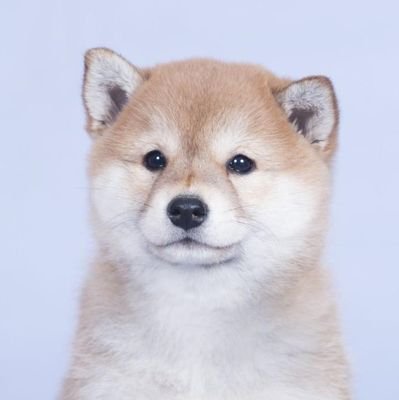 VolodymTheLittl's profile picture. Volunteer, C# back-end dev, photographer, green energy enthusiast, musician, Christian