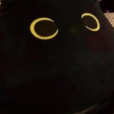 fannie2_0's profile picture. 