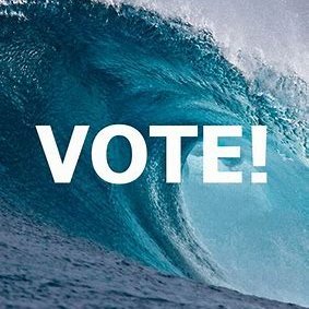 Charlie🌊Vote Blue 🌊Be The Wave🌊