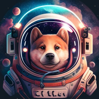 SpaceDoge