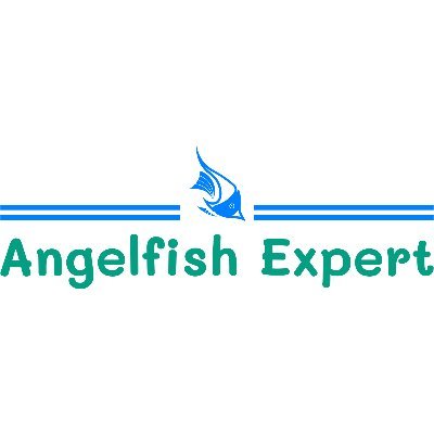 AngelfishExpert is a place where visitors from around the world can learn about how to take care of angelfish.