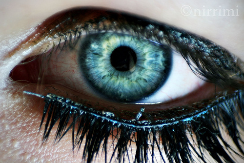 gueutalgerard's profile picture. 29/11/52 a Belfort 90