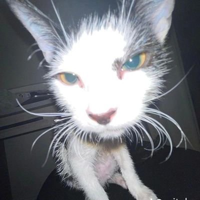 RnPhiphat's profile picture. 