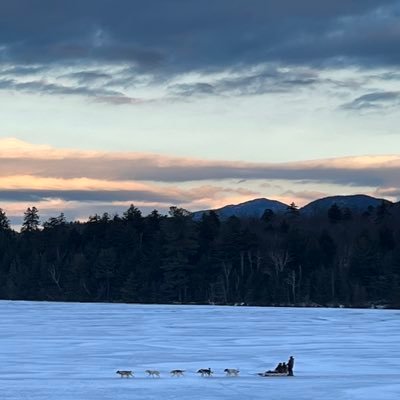 Salvatoriello's profile picture. Critical Thinker, Founder at Arkus, CHEK Holistic Lifestyle Coach (HLC2), Licensed CHEK Professional