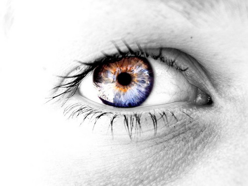 freezoom00's profile picture. 전주 우아동에서 메종드필 레스토프를 운영하고 있읍니다.