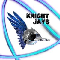 Knight Jays (@knight_jays) 's Twitter Profile Photo Knight Jays (@knight_jays) 's Twitter Profile Photo