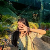 Divya Tripathi (@divyatr38157963) 's Twitter Profile