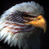 BetterTogetherNewMexico (@better2gethernm) 's Twitter Profile