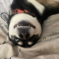 Yeme (@y_e_m_e) 's Twitter Profile