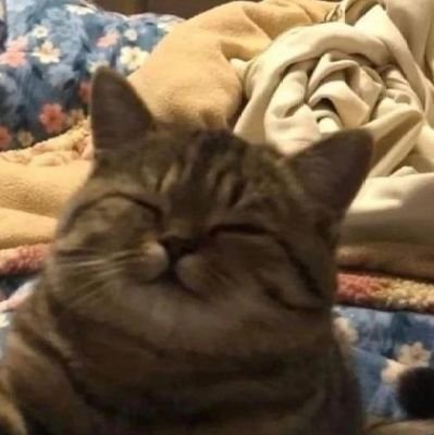 presentsimple96's profile picture. Самая мягкая ЧС|1Э|настоятельница косого храма|выпускница Байлун|одномерная ЧЛ|2,5 В|служитель земли|