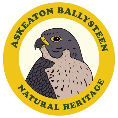 Community Action Group
Highlighting the exceptional natural heritage in the ancient port town of Askeaton and surrounding areas
River, estuary, heritage content