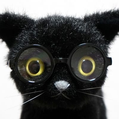黒猫の美術教室 丸山健太さんのプロフィール画像