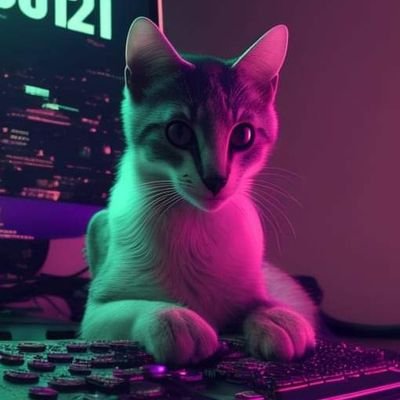 kchikech's profile picture. I am you and what I see is me