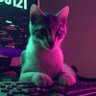 kchikech's profile picture. I am you and what I see is me