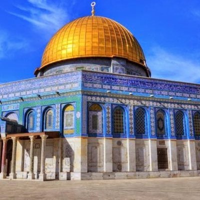 yousefrk999's profile picture. 