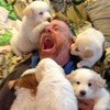 Cole Walter Mellon (@midsouth_flair) 's Twitter Profile