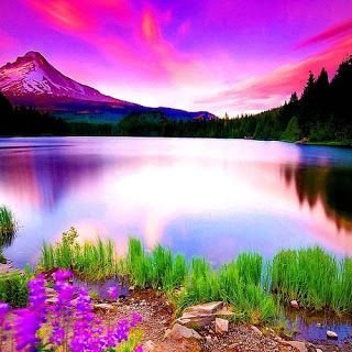 ModernOps813's profile picture. 22
Gay
He/Him