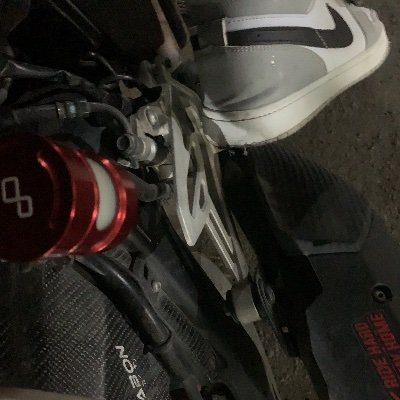 rinov_impala's profile picture. 