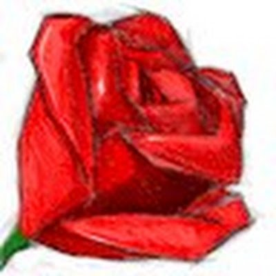 StphanieCOURTI2's profile picture. 