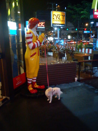 kristof_r's profile picture. 