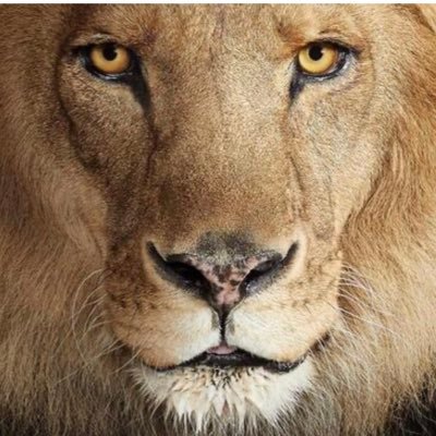 TruthViber's profile picture. 