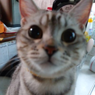 seu_drums's profile picture.