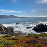 DankSlayer (@pranavp84492348) 's Twitter Profile