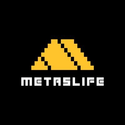 MetasLife，我們將致力打造一個開放式，自由，公平，公開的自治組織，我們提供元宇宙，教育，企業咨詢，線上線下活動支持。
