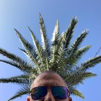 Pete (@moonsparrot) 's Twitter Profile