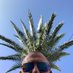Pete (@moonsparrot) Twitter profile photo Pete (@moonsparrot) Twitter profile photo