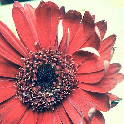 irbaadh's profile picture. 