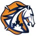 FireRein (@firereininc) Twitter profile photo FireRein (@firereininc) Twitter profile photo