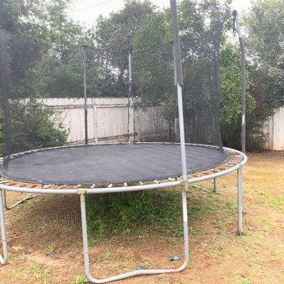 elvis_archive's profile picture. 