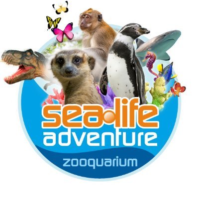 Sealife Adventure is the South East’s premier Zooquarium, rescue and conservation attraction featuring aquatics, butterflies, mammals & reptiles!🦖🦀🐢🦋🐒🦦🐠