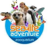 Sealife Adventure (@sealifeadv) 's Twitter Profile Photo Sealife Adventure (@sealifeadv) 's Twitter Profile Photo