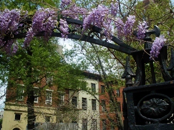 jorinyc's profile picture. People aren’t going hungry because we can't feed the poor. People are going hungry because we can't satisfy the rich.