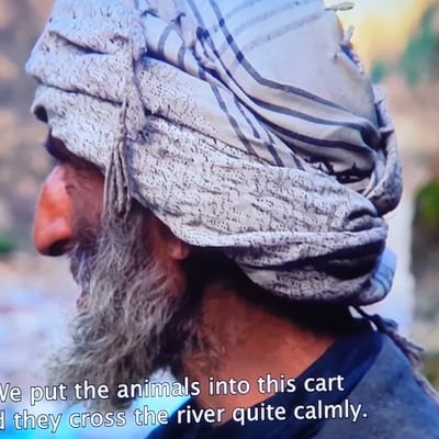 TraficBerbat's profile picture. 