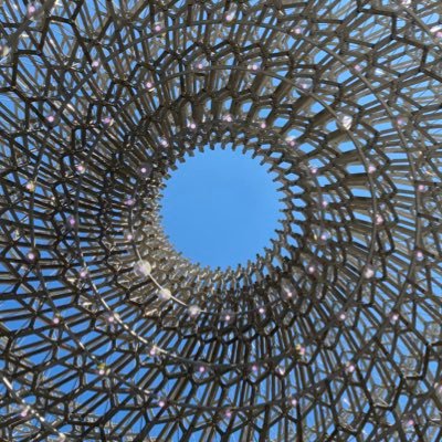 Software engineering, energy transition, climate change