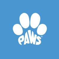 Paws 🐾 (@pawsmx) 's Twitter Profile